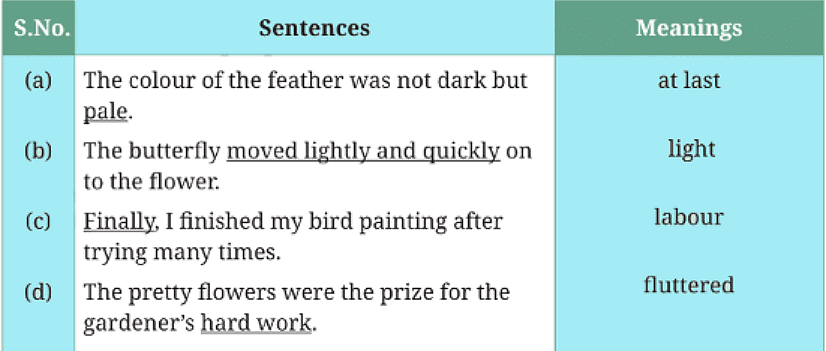 NCERT Solution: What a Bird Thought