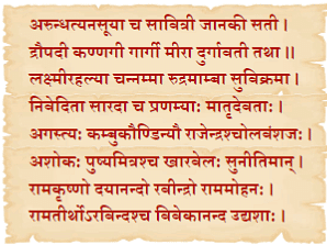 NCERT Solutions: शूरा: वयं धीरा: वयम्