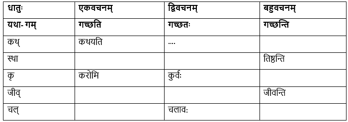 NCERT Solutions: बुद्धि: सर्वार्थसाधिका