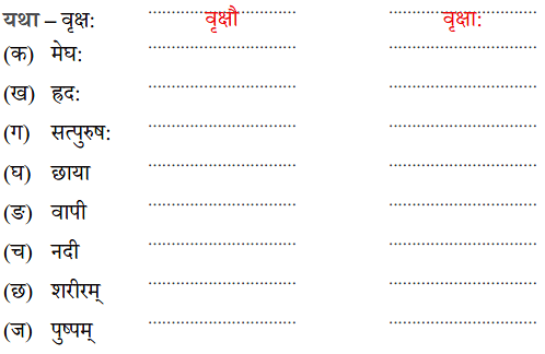 NCERT Solutions: वृक्षा: सत्पुरुषा: इव