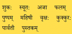 NCERT Solutions: एष: क: ? एषा का ? एतत् किम् ?