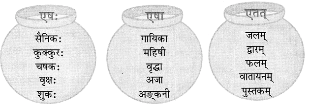 NCERT Solutions: एष: क: ? एषा का ? एतत् किम् ?