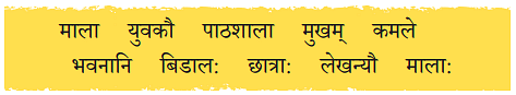 NCERT Solutions: एष: क: ? एषा का ? एतत् किम् ?