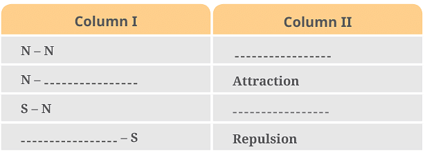 NCERT Solutions: Exploring Magnets