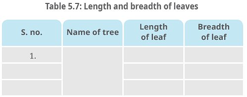 NCERT Solutions: Measurement of Length and Motion