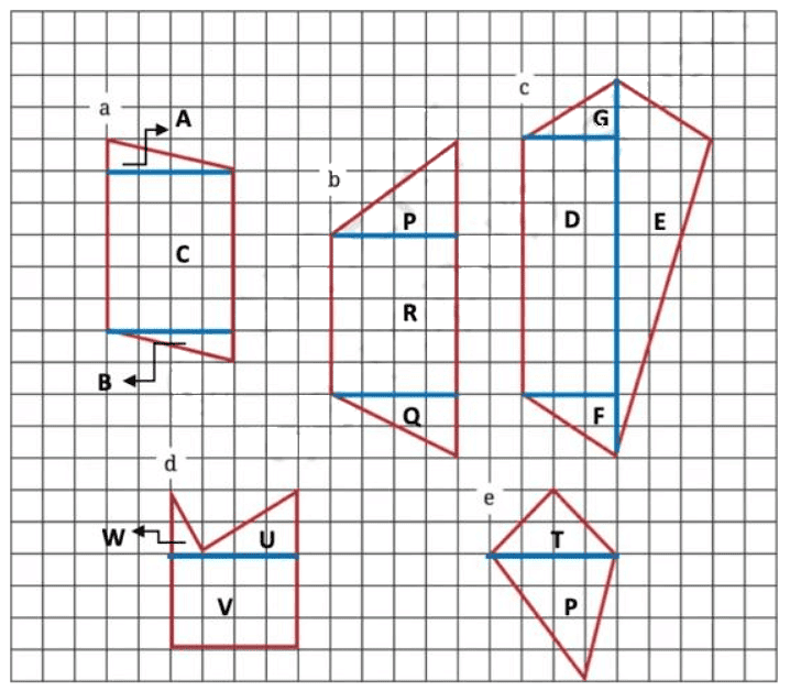 NCERT Solutions: Perimeter and Area