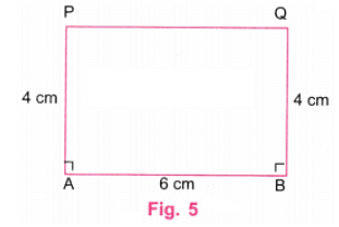 NCERT Solutions: Playing with Constructions