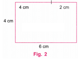 NCERT Solutions: Playing with Constructions