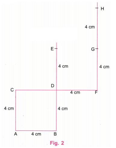 NCERT Solutions: Playing with Constructions