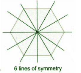 NCERT Solutions: Symmetry