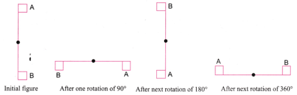 NCERT Solutions: Symmetry