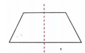 NCERT Solutions: Symmetry