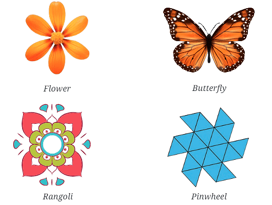 NCERT Solutions: Symmetry