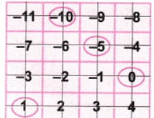 NCERT Solutions: The Other Side of Zero