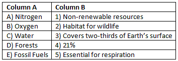 Worksheet: Nature’s Treasures