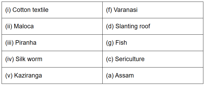NCERT Solutions: Human Environment Interactions The Tropical and the Subtropical Region