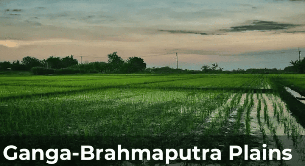 NCERT Solutions: Human Environment Interactions The Tropical and the Subtropical Region
