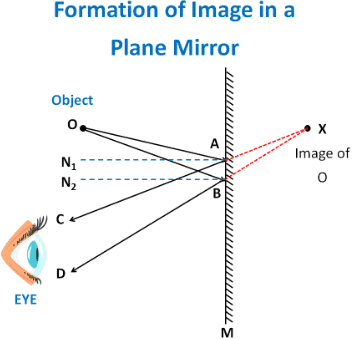 NCERT Solutions: Light