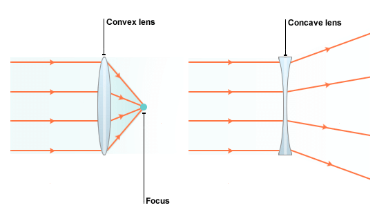 NCERT Solutions: Light