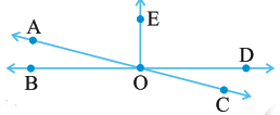 NCERT Solutions: Lines & Angles