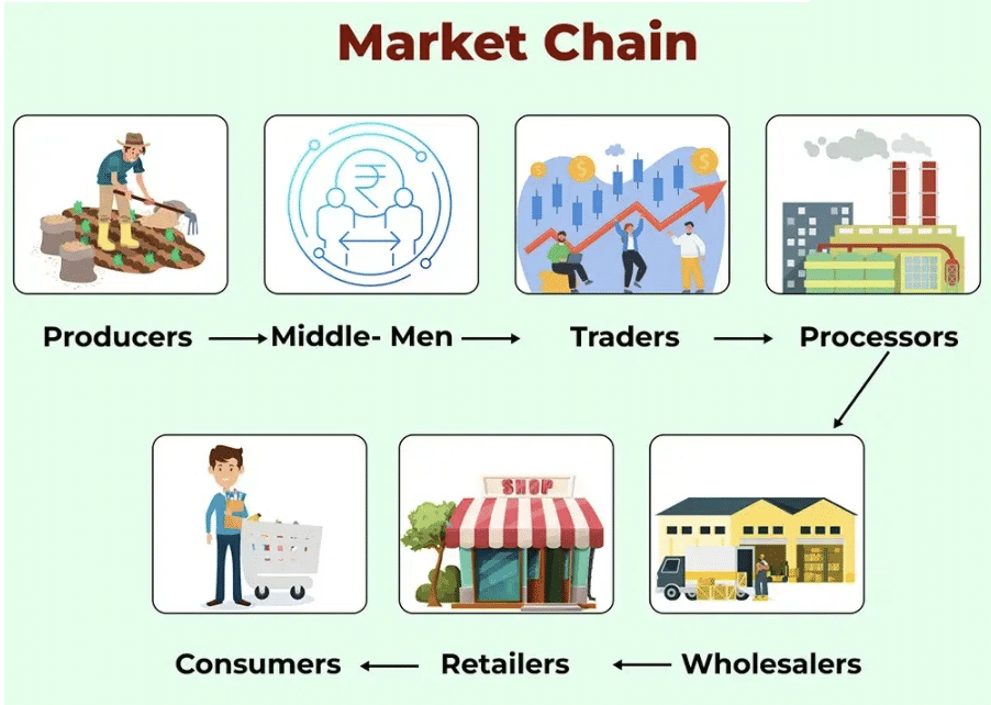 NCERT Solutions: Market Around Us