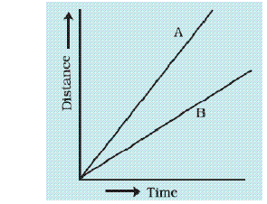 NCERT Solutions: Motion & Time