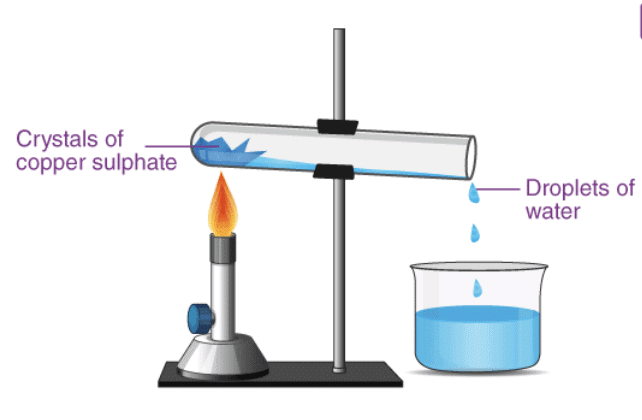 NCERT Solutions: Physical & Chemical Changes