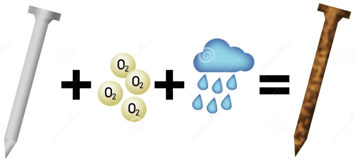 NCERT Solutions: Physical & Chemical Changes