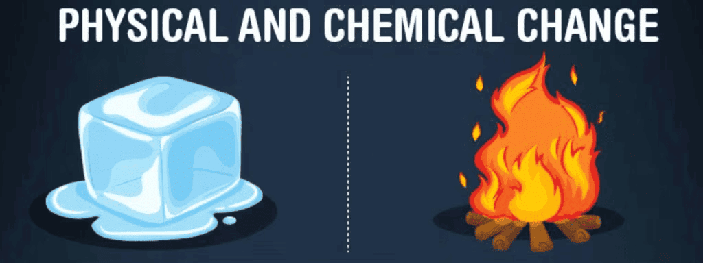 NCERT Solutions: Physical & Chemical Changes
