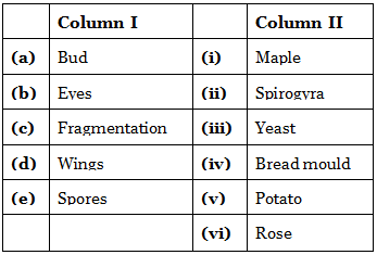 NCERT Solutions: Reproduction in Plants