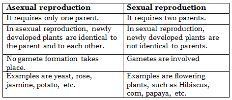 NCERT Solutions: Reproduction in Plants