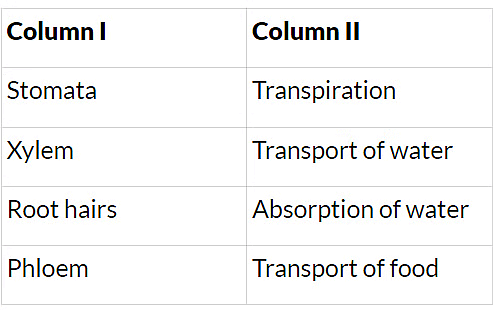 NCERT Solutions: Transportation in Animals & Plants