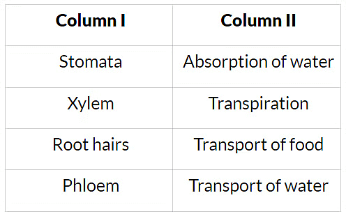 NCERT Solutions: Transportation in Animals & Plants