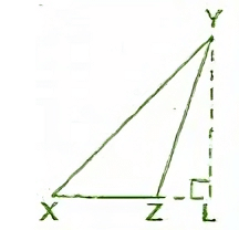 NCERT Solutions: Triangle and Its Properties