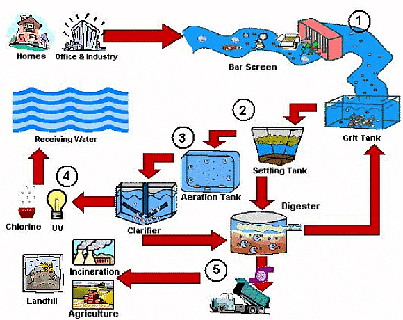NCERT Solutions: Wastewater Story