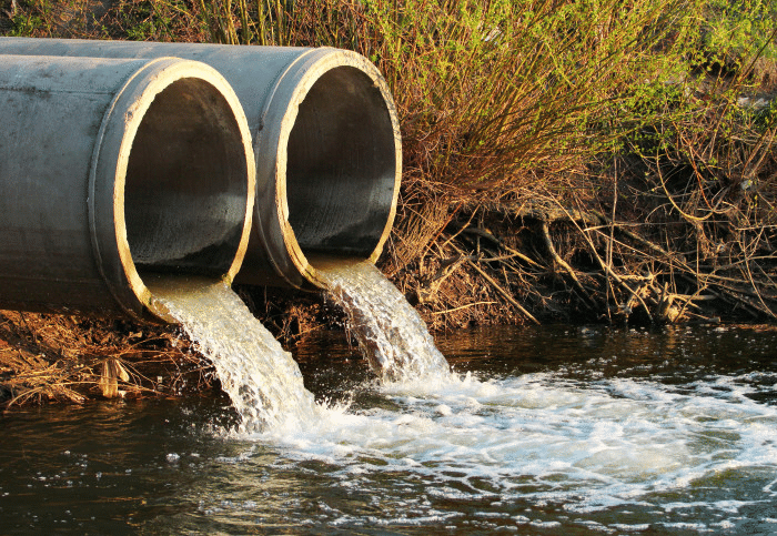 NCERT Solutions: Wastewater Story