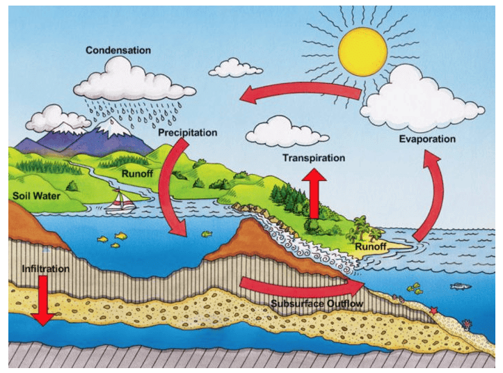 NCERT Solutions: Water