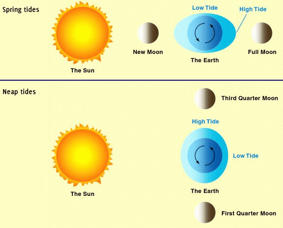 NCERT Solutions: Water