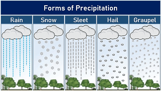 NCERT Solutions: Water
